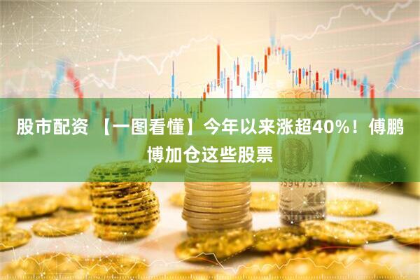 股市配资 【一图看懂】今年以来涨超40%！傅鹏博加仓这些股票