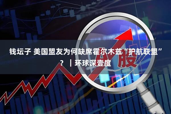 钱坛子 美国盟友为何缺席霍尔木兹“护航联盟”？｜环球深壹度