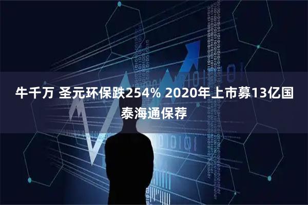 牛千万 圣元环保跌254% 2020年上市募13亿国泰海通保荐
