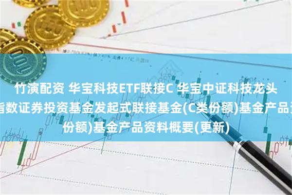竹演配资 华宝科技ETF联接C 华宝中证科技龙头交易型开放式指数证券投资基金发起式联接基金(C类份额)基金产品资料概要(更新)
