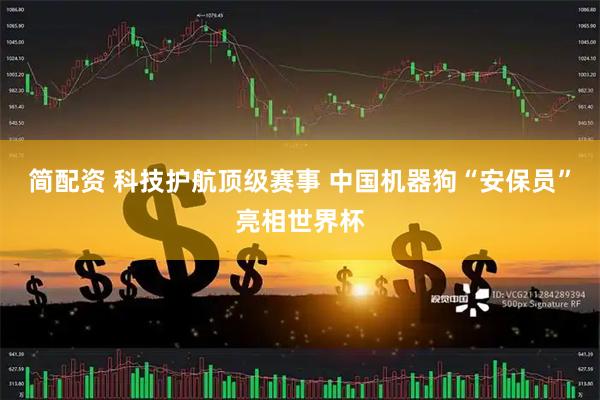 简配资 科技护航顶级赛事 中国机器狗“安保员”亮相世界杯