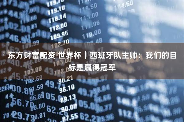 东方财富配资 世界杯｜西班牙队主帅：我们的目标是赢得冠军