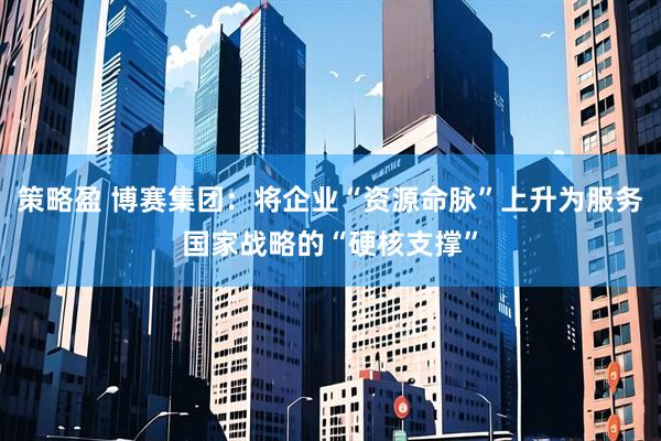 策略盈 博赛集团：将企业“资源命脉”上升为服务国家战略的“硬核支撑”